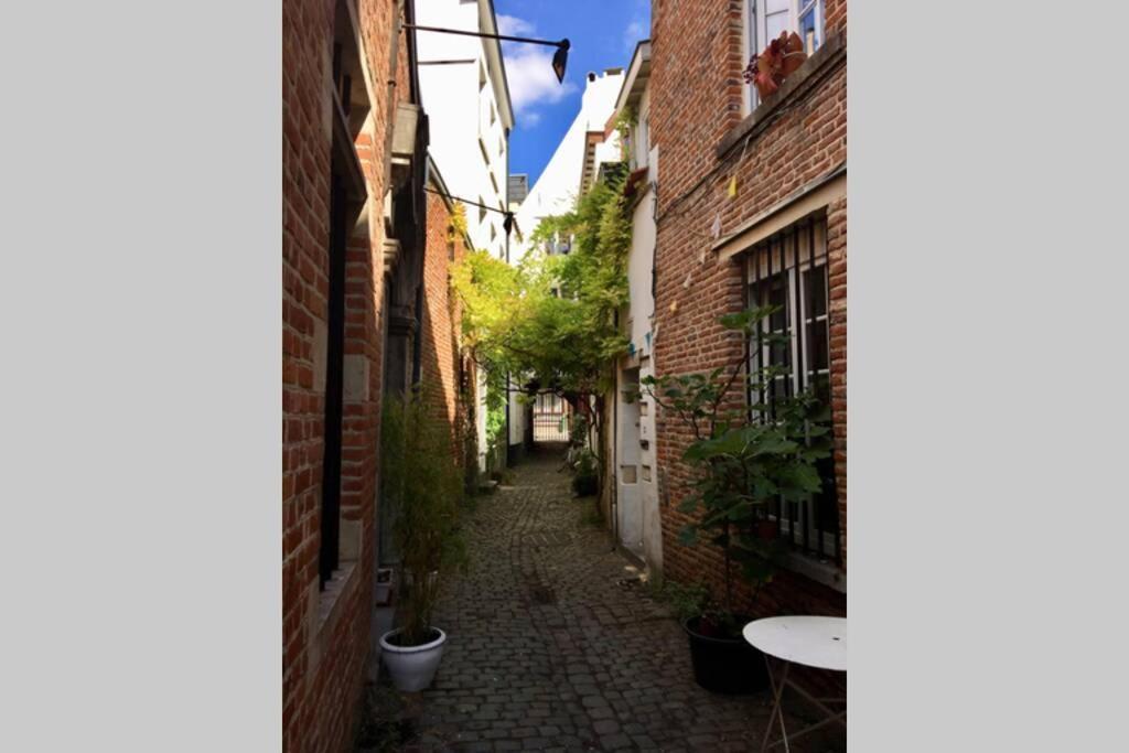 En Plein Coeur De Bruxelles. Superbe Duplex.A Voir! Exteriör bild