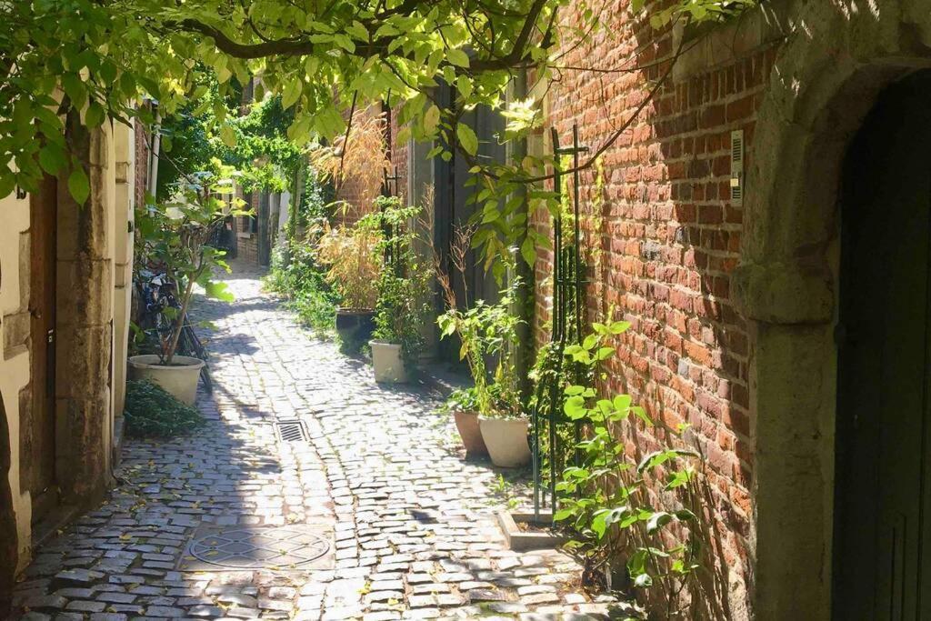 En Plein Coeur De Bruxelles. Superbe Duplex.A Voir! Exteriör bild
