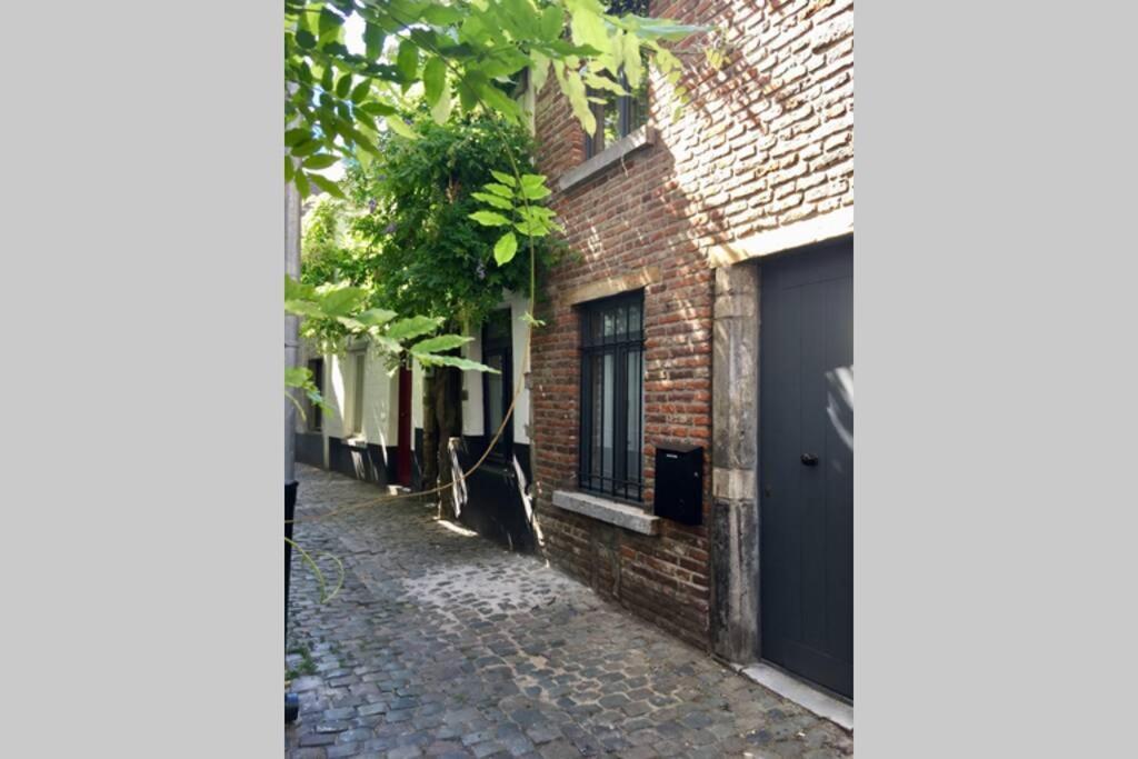 En Plein Coeur De Bruxelles. Superbe Duplex.A Voir! Exteriör bild